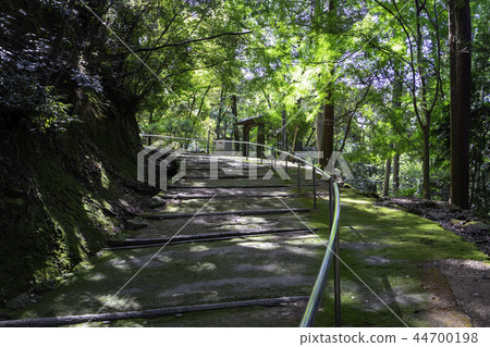 Shosha Sankyo Temple Gonjozaka 44700198