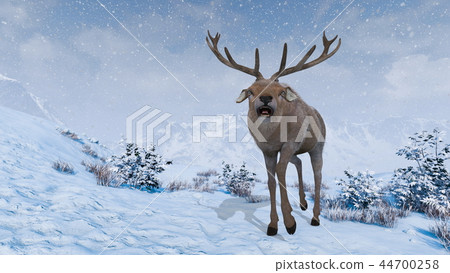 一隻鹿 44700258