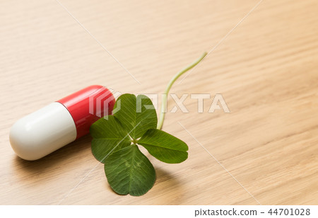 Yotsuba三葉草 44701028