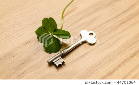 Yotsuba clover 44701064