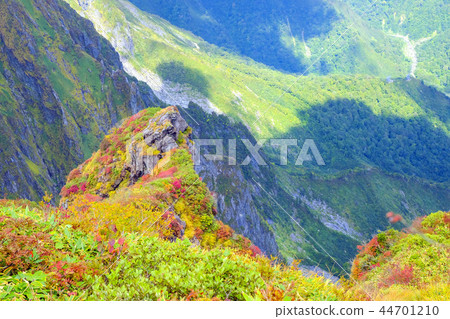 秋葉和山谷 44701210