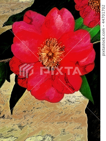 Cold camellia Cold camellia 44701702