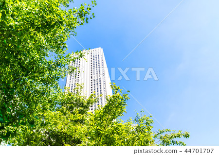 Landscape of many green office streets 44701707