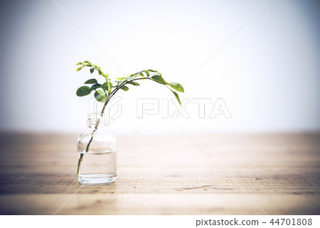 綠 44701808