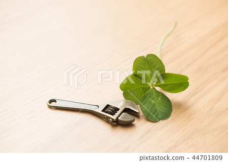 Yotsuba三葉草 44701809