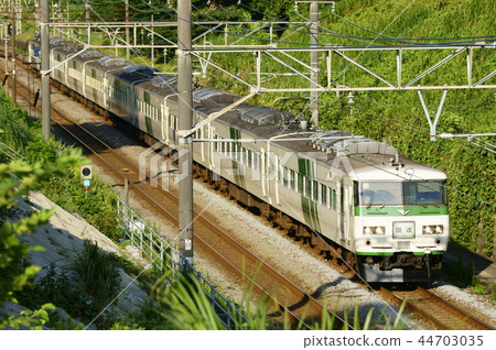 185系列·交通東海道本線:橫濱 - 戶塚 185系列·交通東海道本線:橫濱 - 戶塚 44703035