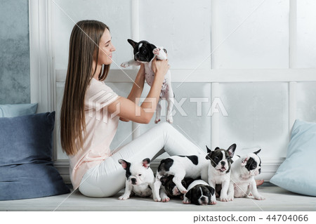 Young beautiful girl hugging a many puppies of a French bulldog Young beautiful girl hugging a many puppies of a French bulldog 44704066