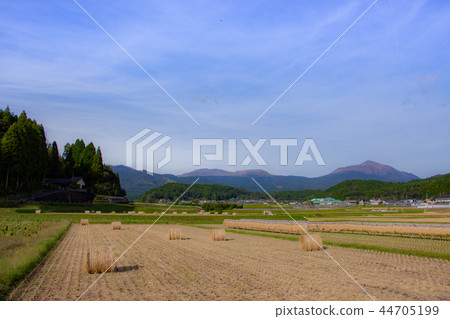 Kirishima mountain range and rural scene Rice harvesting is over rice field Rice straw hanging dried rice 44705199
