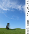 Grassland and blue sky 44705256