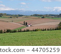 Farm house of Biei 44705259