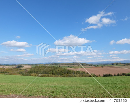 Biei no Oka Biei no Oka 44705260