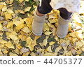 Feet ginkgo 44705377