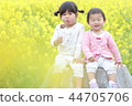 Rape flowers and girls 44705706