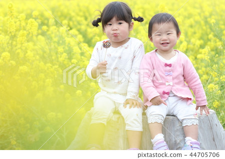 強姦鮮花和女孩 強姦鮮花和女孩 44705706