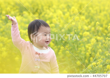 強姦鮮花和女孩 44705707