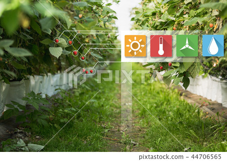 Internet of things in agriculture 44706565