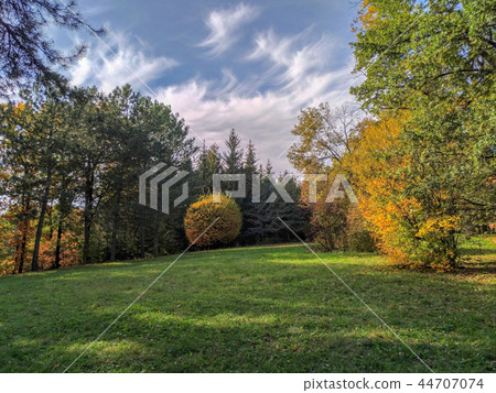 Autumn landscape, foliage, yellow, red, green 44707074