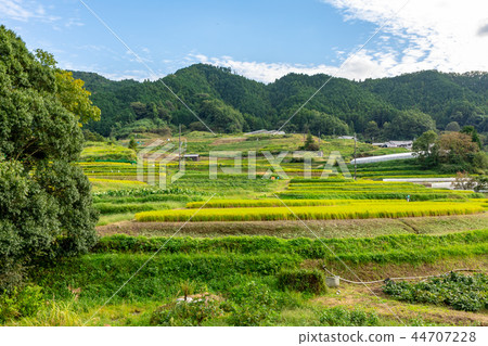 Asuka village landscape Asuka village landscape 44707228