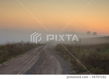 A foggy road among meadows at dawn 44707282