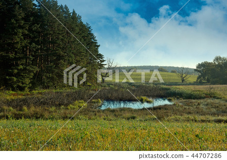 Landscape with meadows and a wild pond in autumn Landscape with meadows and a wild pond in autumn 44707286