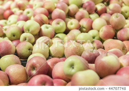 pile of apples as a background pile of apples as a background 44707748