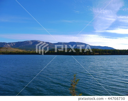 White horse 44708730