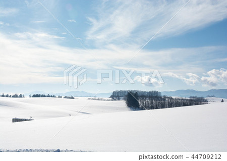 北海道的冬天風景 北海道的冬天風景 44709212