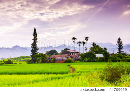 Yaki Yuka Waki Ikan Fuko Tani油大豆油Shibata Kazu Aoyama Noma。 44709659