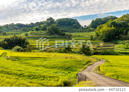Asuka village landscape 44710121