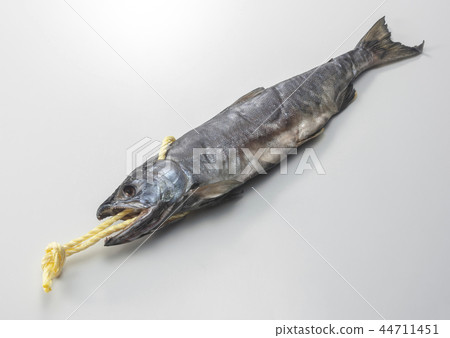 新卷三文魚 44711451