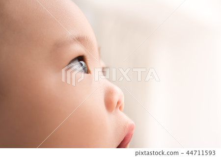 嬰兒 44711593