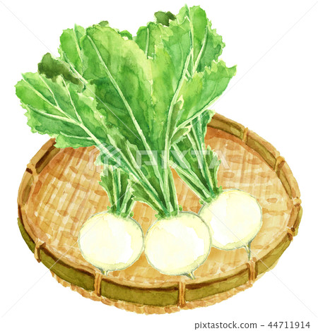 Kobu on the top of the colander Kobu on the top of the colander 44711914