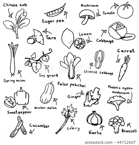 vegetable sketch in black doodle drawing vegetable sketch in black doodle drawing 44712687