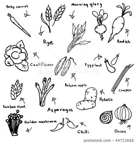vegetable sketch in black doodle drawing 44712688
