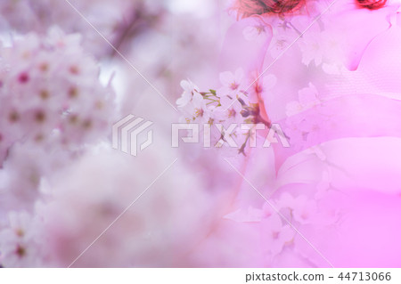 春天 44713066