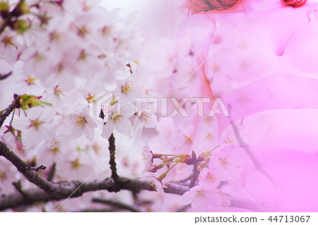 春天 春天 44713067