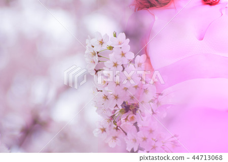 春天 44713068