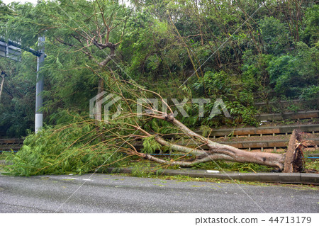 Typhoon scratch Typhoon scratch 44713179