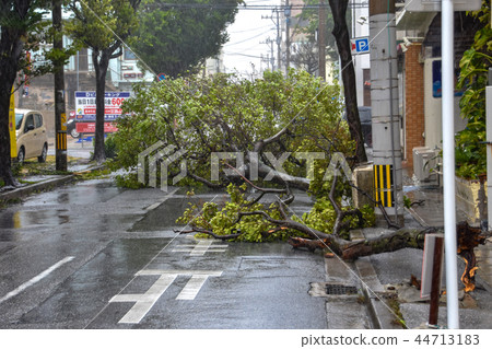 Typhoon scratch 44713183