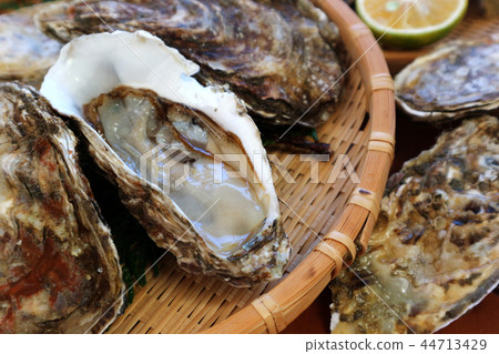 Raw oyster (Kakiemon) 44713429