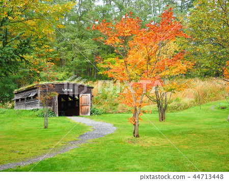 北海道秋天的花園 北海道秋天的花園 44713448