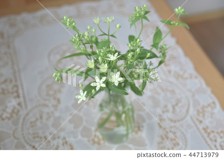 Flower of vase 44713979