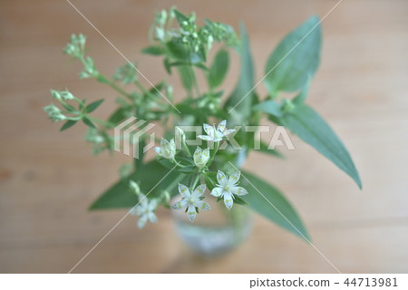 Flower of vase Flower of vase 44713981