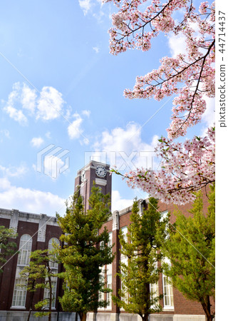 Sakura Su Kyoto University Kyoto University Kyoto University Centennial Clock Tower Memorial Kyoto Oh Yoshida Campus Sakura Su Kyoto University Kyoto University Kyoto University Centennial Clock Tower Memorial Kyoto Oh Yoshida Campus 44714437