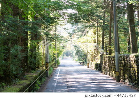 A nice pathway in Japan / A Beautiful Pathway in Japan_1 A nice pathway in Japan / A Beautiful Pathway in Japan_1 44715457