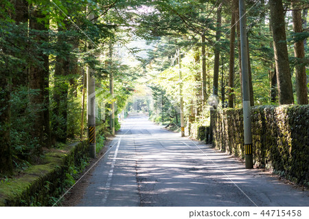 A nice pathway in Japan / A Beautiful Pathway in Japan_2 44715458