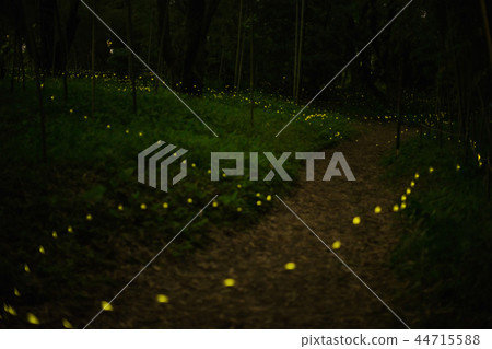 hime hotaru hime hotaru 44715588