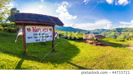 landscape view of 101 tea plantation on blue sky  44715721