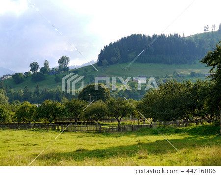 orchard, vegetable garden, houses on the green slo orchard, vegetable garden, houses on the green slo 44716086