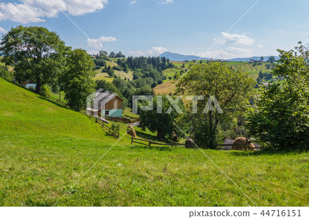 A scenic landscape of bright green grass near the 44716151
